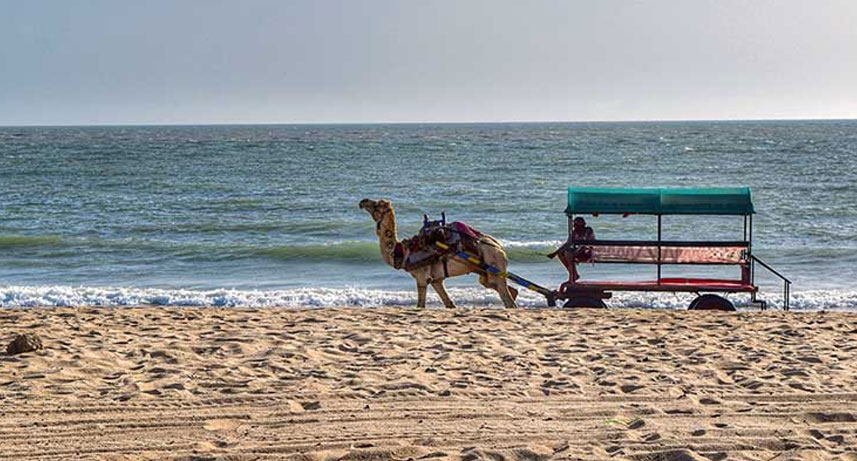 Bhuj to Mandvi Day Trip