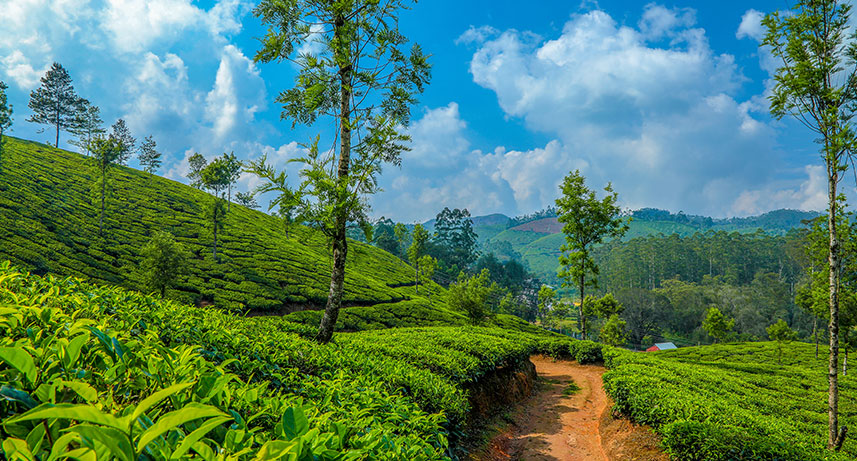 Munnar