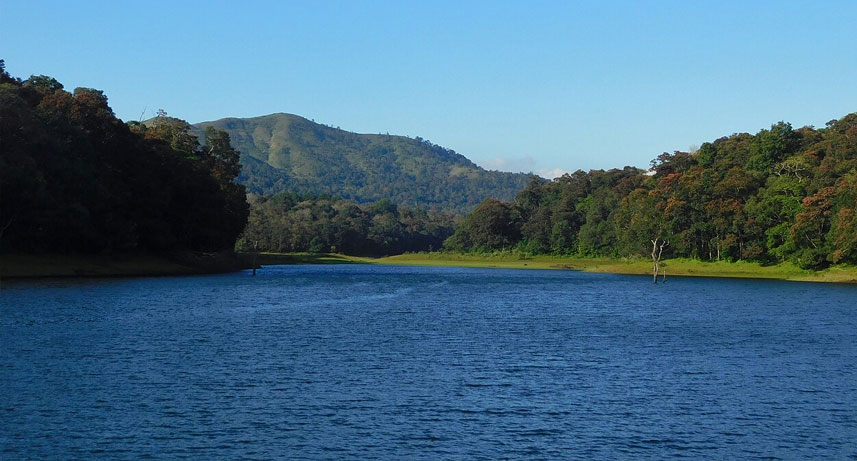 Munnar – Thekkady
