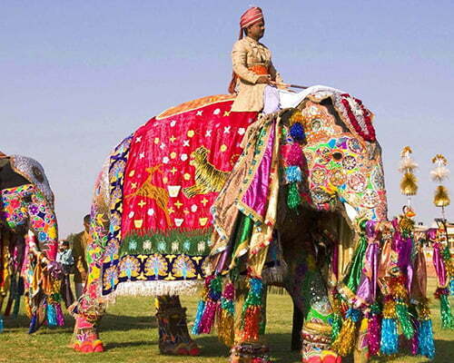 A man riding a decorated elephant during a Royal Rajasthan tour