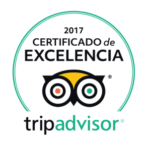 Certificado de excelencia logo of tripadvisor 2017