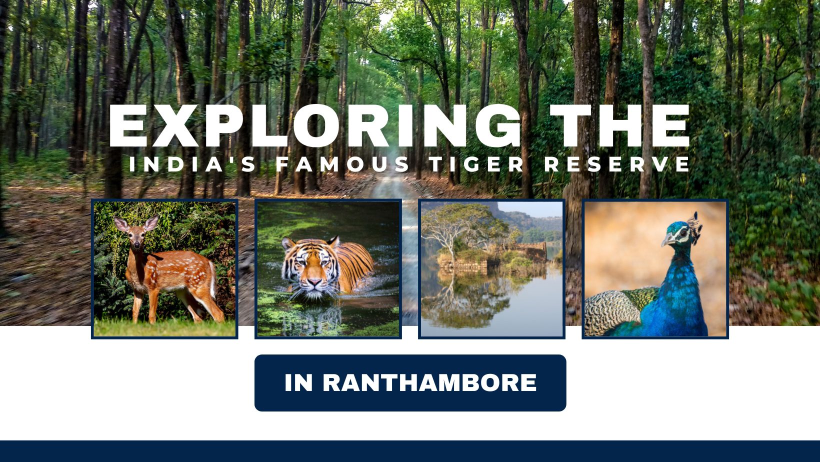 Exploring the India’s Famous Tiger Reserve in Ranthambore