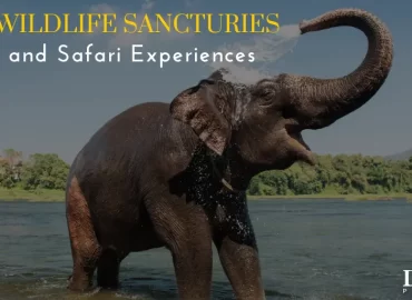 Wildlife Sanctuaries in India