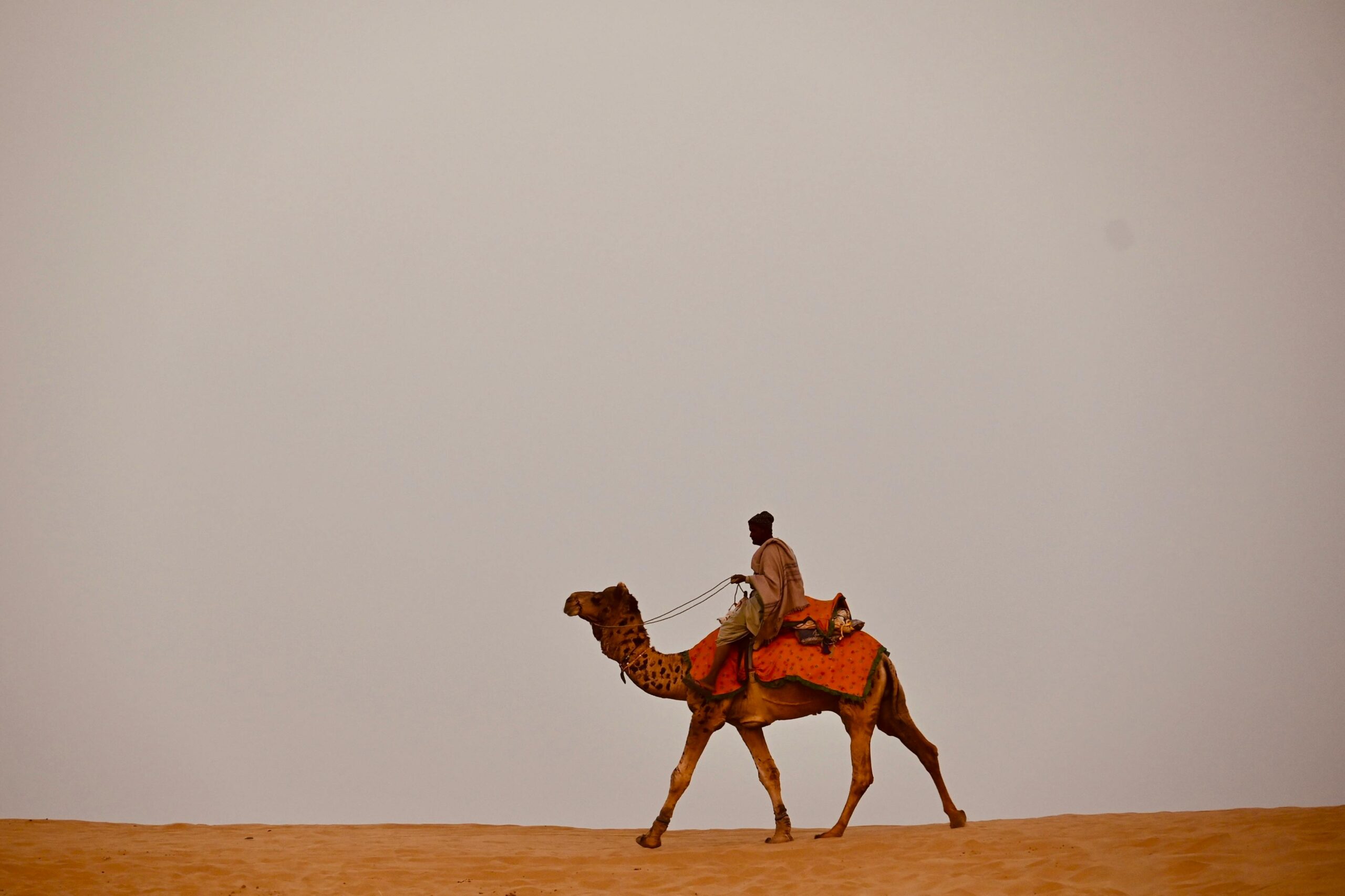 Desert Safari Adventures in Jaisalmer