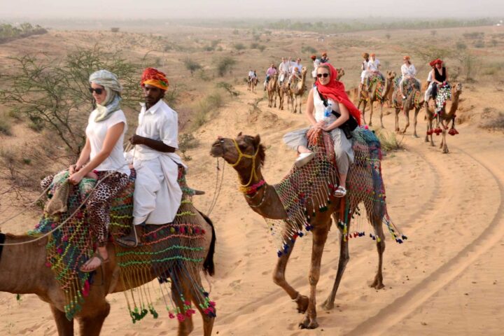 Camel ride in Pushkar