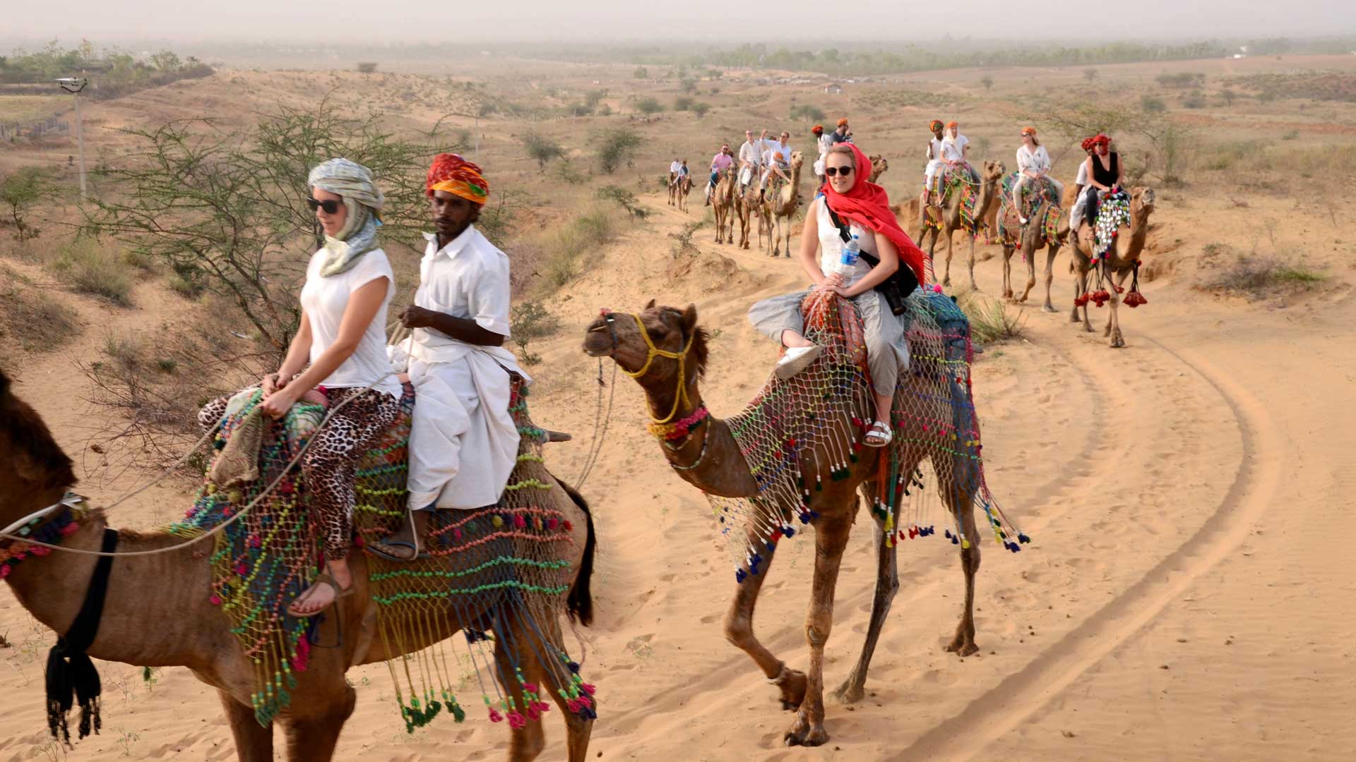 Camel ride in Pushkar